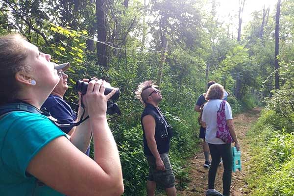 Birdwatching