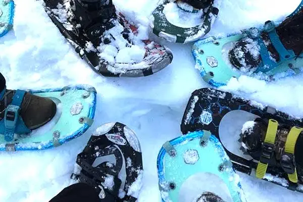 Snowshoeing