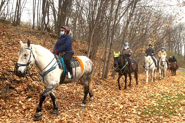 horseback