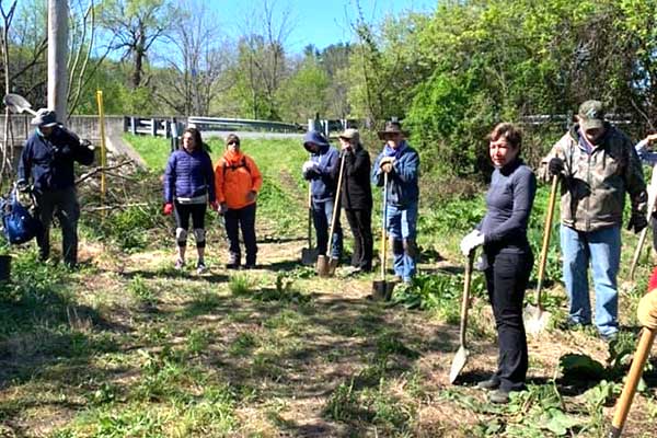 tree-planting